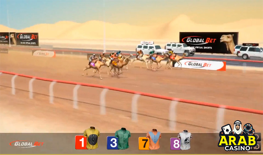 camel racing bets 