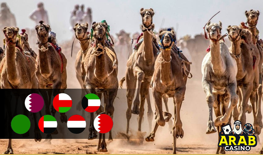 history of camel racing 